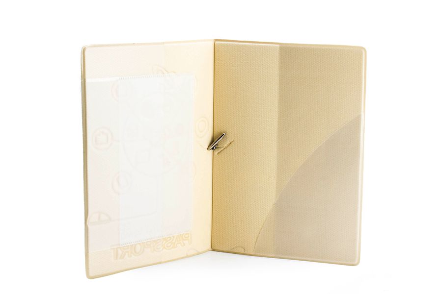 Обложка на паспорт Годзилла (Godzilla) изображение 2