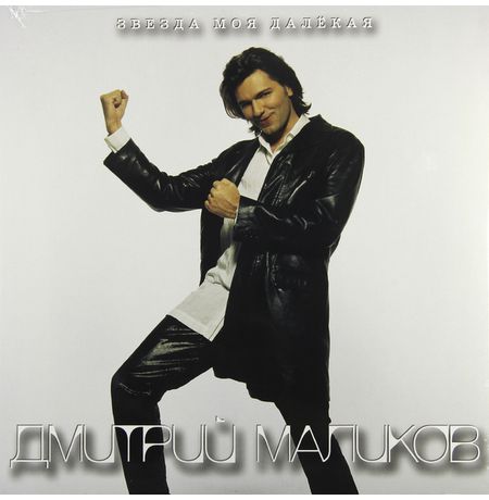 Виниловая пластинка 