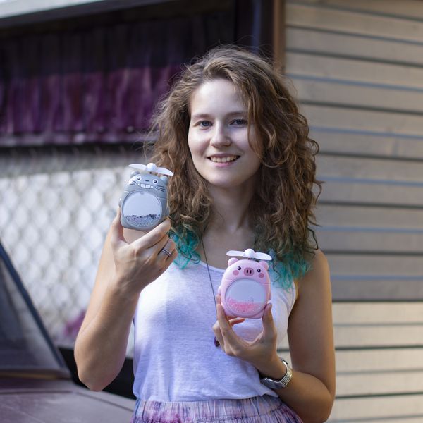 Вентилятор Свинка изображение 2