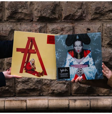 Виниловая пластинка Björk – Homogenic изображение 3
