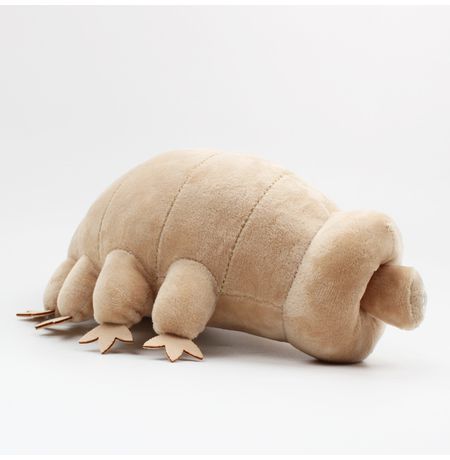 Мягкая игрушка Тихоходка (Tardigrade) 23 см изображение 2
