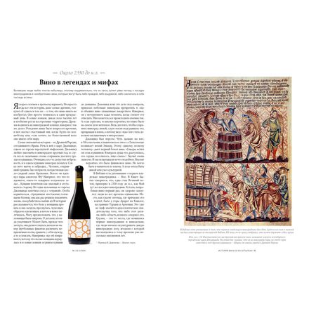 История вина в 100 бутылках. От Бахуса до Бордо и дальше изображение 5