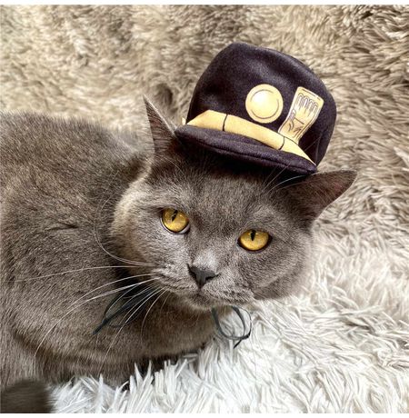 Кепка для кота ДжоДжо (JoJo’s Bizarre Adventure) изображение 2