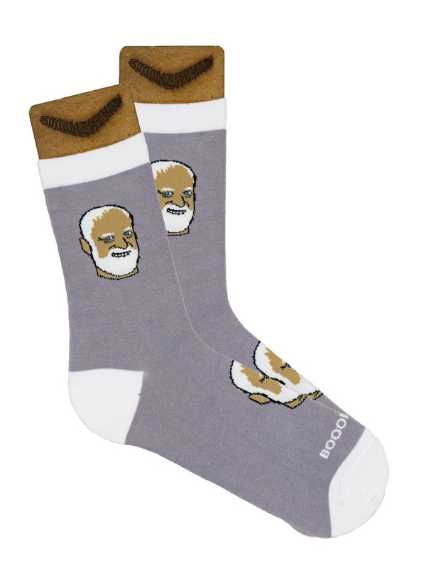 Носки Гарольд (размер 34-39), BOOOMERANGS изображение 2